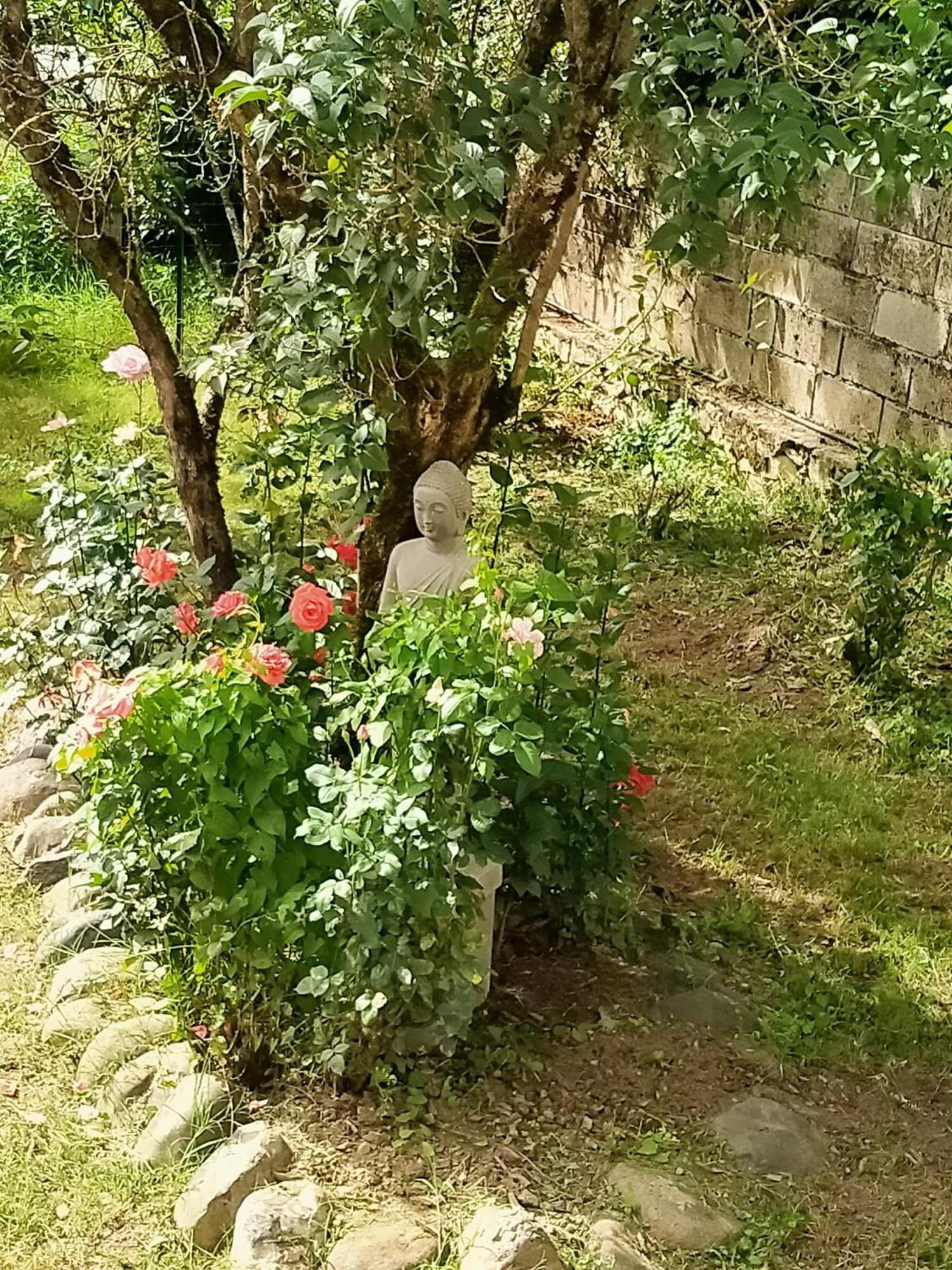 Le Relais De Boralde Hotel Espalion Kültér fotó